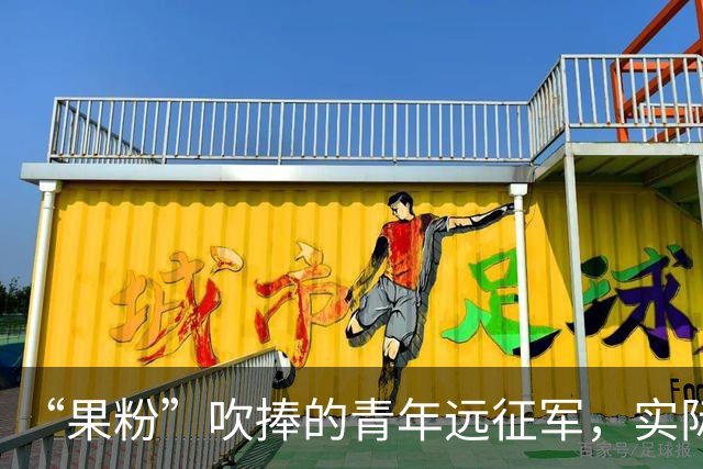 “果粉”吹捧的青年远征军，实际上没向鬼子开过一枪！