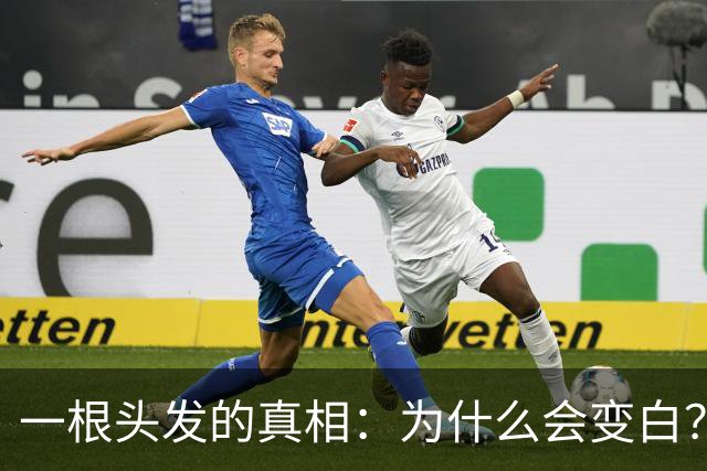 一根头发的真相：为什么会变白？染发又是怎么“上色”的？——病理科医生带你用显微镜看头发