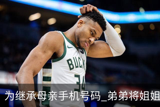 为继承母亲手机号码 弟弟将姐姐诉至法院