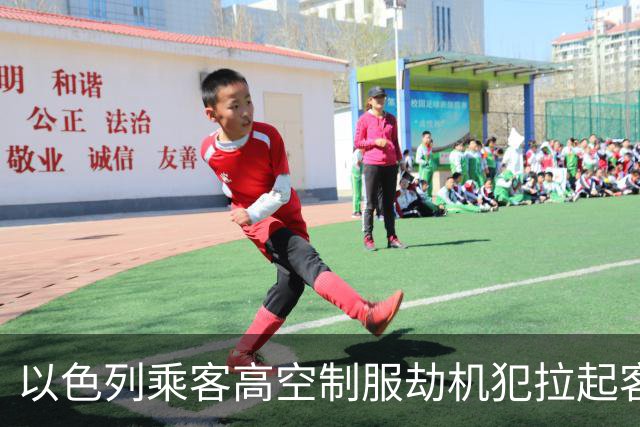 以色列乘客高空制服劫机犯拉起客机，以防长：圣战恐袭未遂