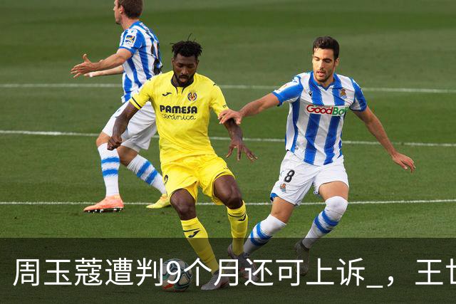 周玉蔻遭判9个月还可上诉 ，王世坚：正义“虽迟但到”