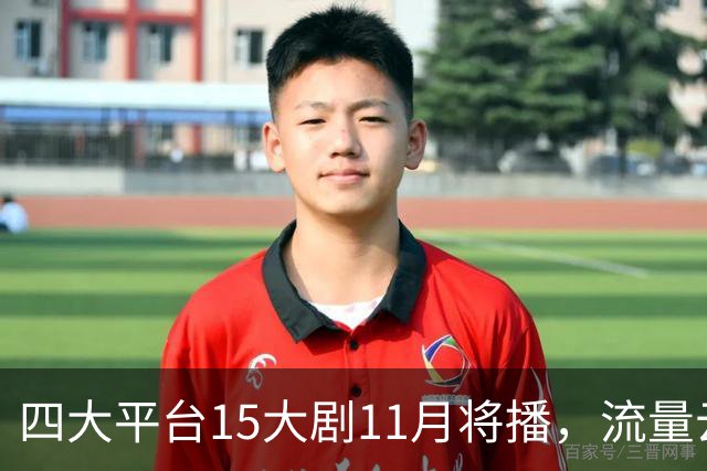 四大平台15大剧11月将播，流量云集，哪部有爆款潜力？