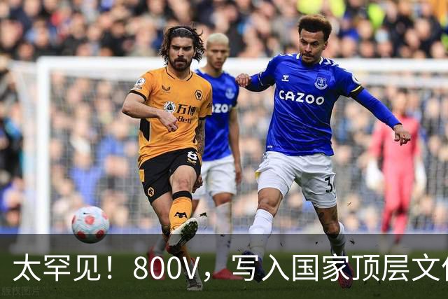 太罕见！800V，写入国家顶层文件！