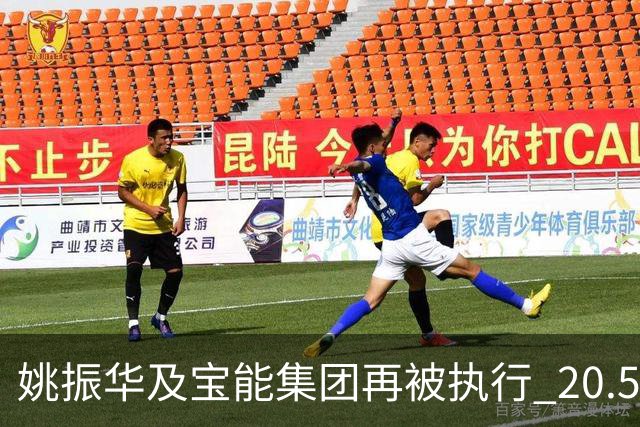 姚振华及宝能集团再被执行 20.5 亿，累计被执行金额超 470 亿