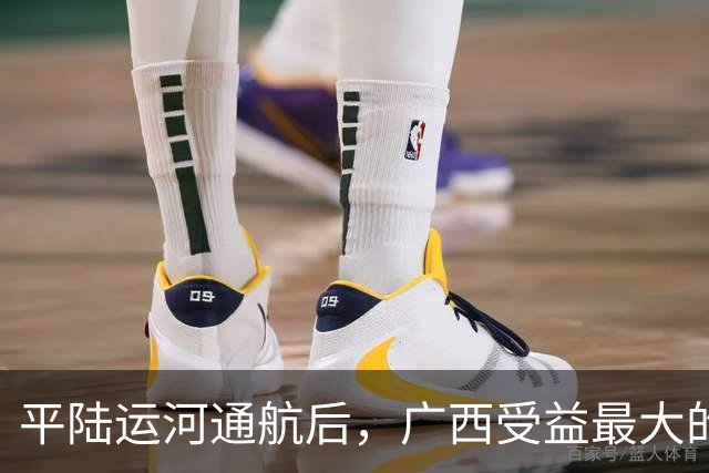 平陆运河通航后，广西受益最大的5个县，为何我特别看好？