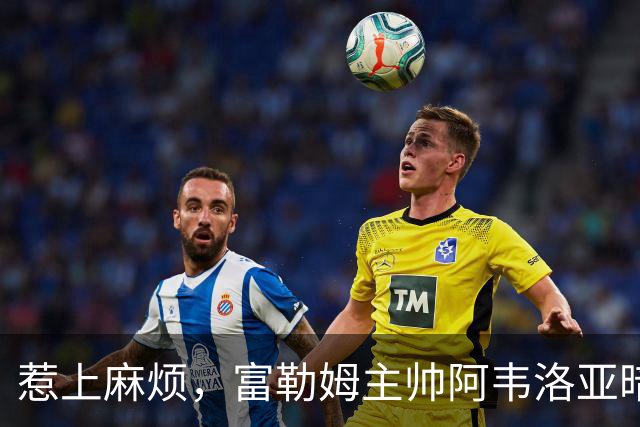惹上麻烦，富勒姆主帅阿韦洛亚暗指裁判偏袒曼联，遭英足总指控