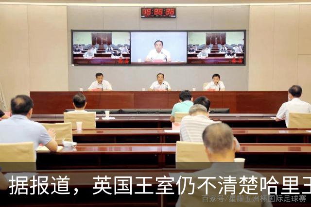 据报道，英国王室仍不清楚哈里王子和梅根·马克尔返回英国后的意图