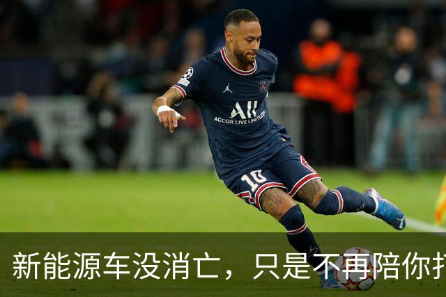 新能源车没消亡，只是不再陪你打价格战了