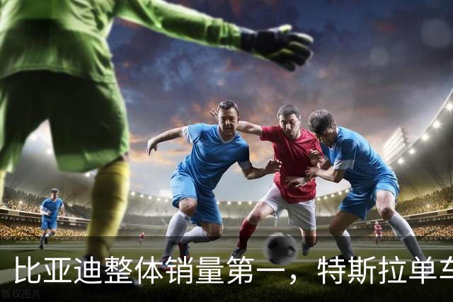 比亚迪整体销量第一，特斯拉单车销量第一，零跑、小米大亮