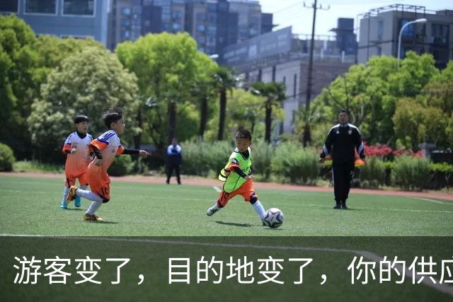 游客变了，目的地变了，你的供应链跟上了吗？
