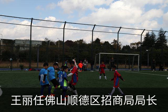 王丽任佛山顺德区招商局局长