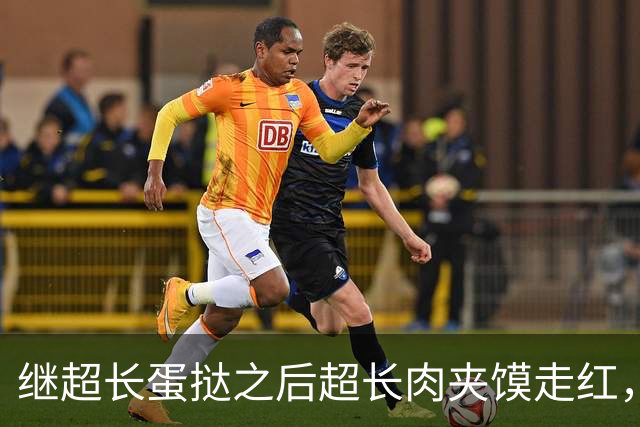 继超长蛋挞之后超长肉夹馍走红，长度四五十厘米，售价20元，商家：现做热食