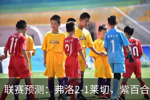联赛预测：弗洛2-1莱切，紫百合2-1-2-2亚特兰大，埃弗顿1-2纽卡
