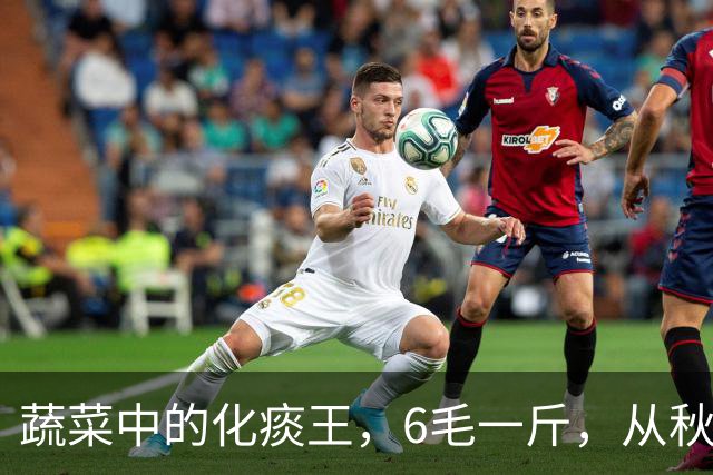 蔬菜中的化痰王，6毛一斤，从秋吃到冬，排出身体陈年痰湿