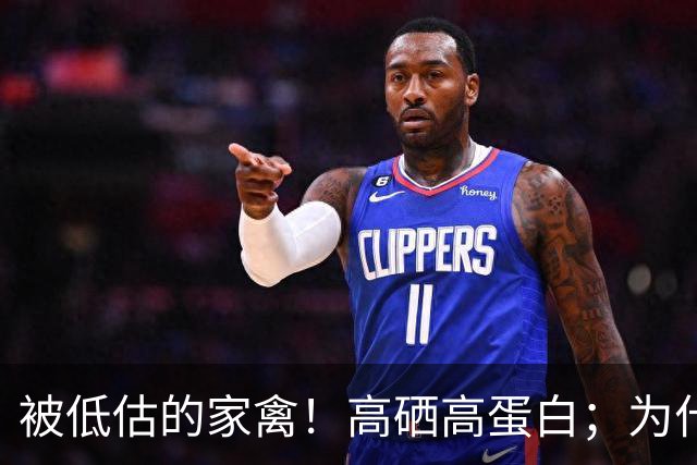 被低估的家禽！高硒高蛋白；为什么说香菜，是一种对大脑不错的蔬菜？