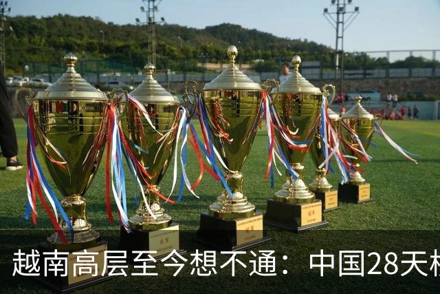 越南高层至今想不通：中国28天横扫越北，为何兵临河内却主动撤军？