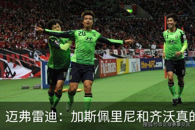 迈弗雷迪：加斯佩里尼和齐沃真的让我感到兴奋。我更看好前者