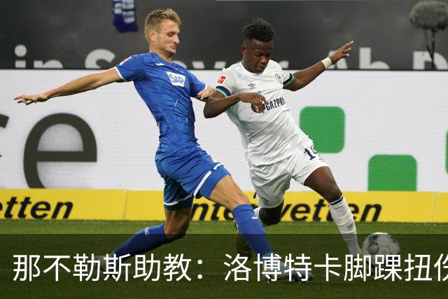 那不勒斯助教：洛博特卡脚踝扭伤将做检查；下一场踢尤文不好踢