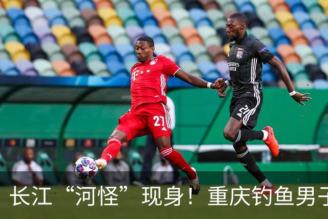长江“河怪”现身！重庆钓鱼男子长江钓到巨型淡水鱼！