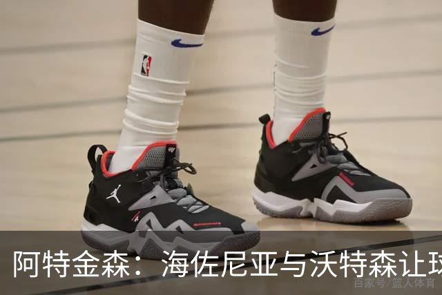 阿特金森：海佐尼亚与沃特森让球队战术更具弹性