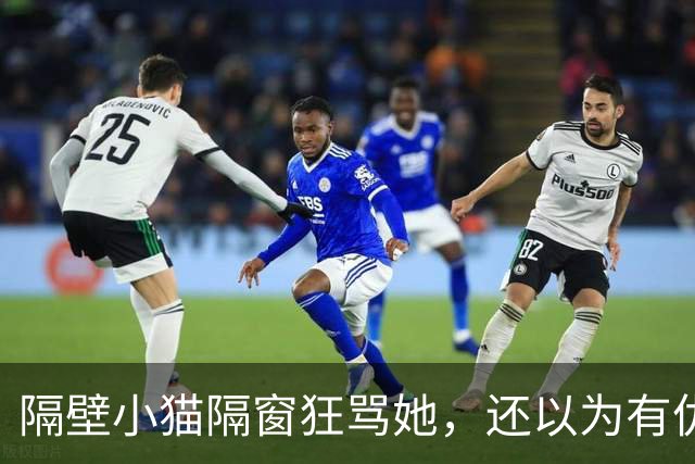 隔壁小猫隔窗狂骂她，还以为有仇，镜头一转骂得一点都不冤！