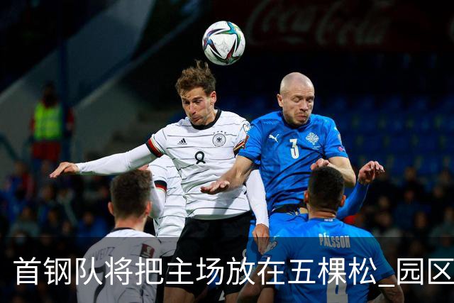首钢队将把主场放在五棵松 园区冰球馆成备选