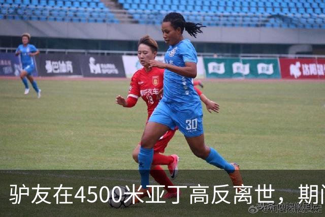 驴友在4500米亚丁高反离世，期间姐姐全网求免费直升机，牧民报价1万被她拉黑