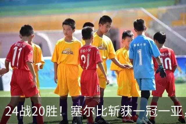24战20胜！塞尔比斩获一冠一亚，逆转王赛季排名赛胜率高居世界第一
