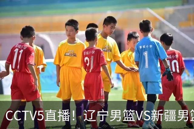 CCTV5直播！辽宁男篮VS新疆男篮，新赛季核心或敲定，不是赵继伟