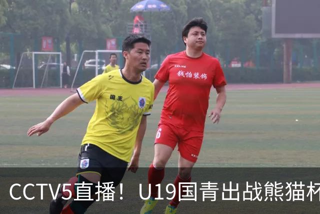 CCTV5直播！U19国青出战熊猫杯，三大对手确定久尔杰维奇带队争冠