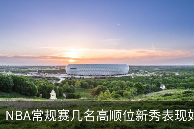 NBA常规赛几名高顺位新秀表现如何？彼得森场均12分，布泽尔场均16分，那状元迪班萨呢？